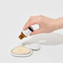 画像をギャラリービューアに読み込む, コウゴウ ヒノキプレート ディフューザー グリーン